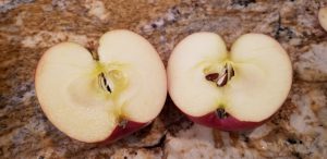 apples for apple pie recipe