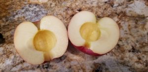 apples for apple pie recipe