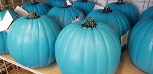 Teal Pumpkin Project