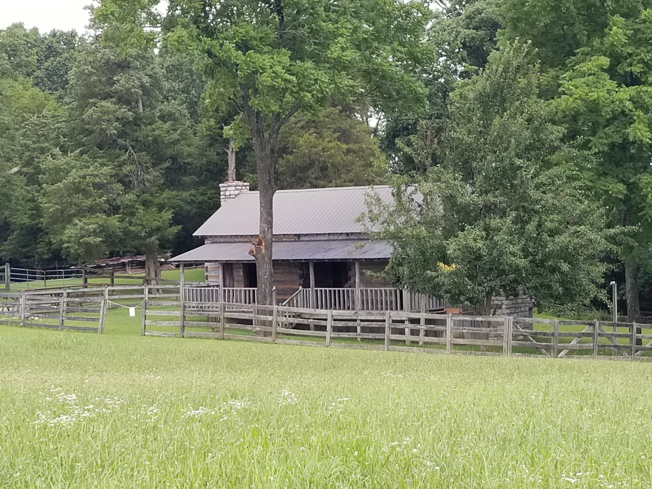 Exploring The Bell Witch Farm and Cave for Some Spooky Fun ...