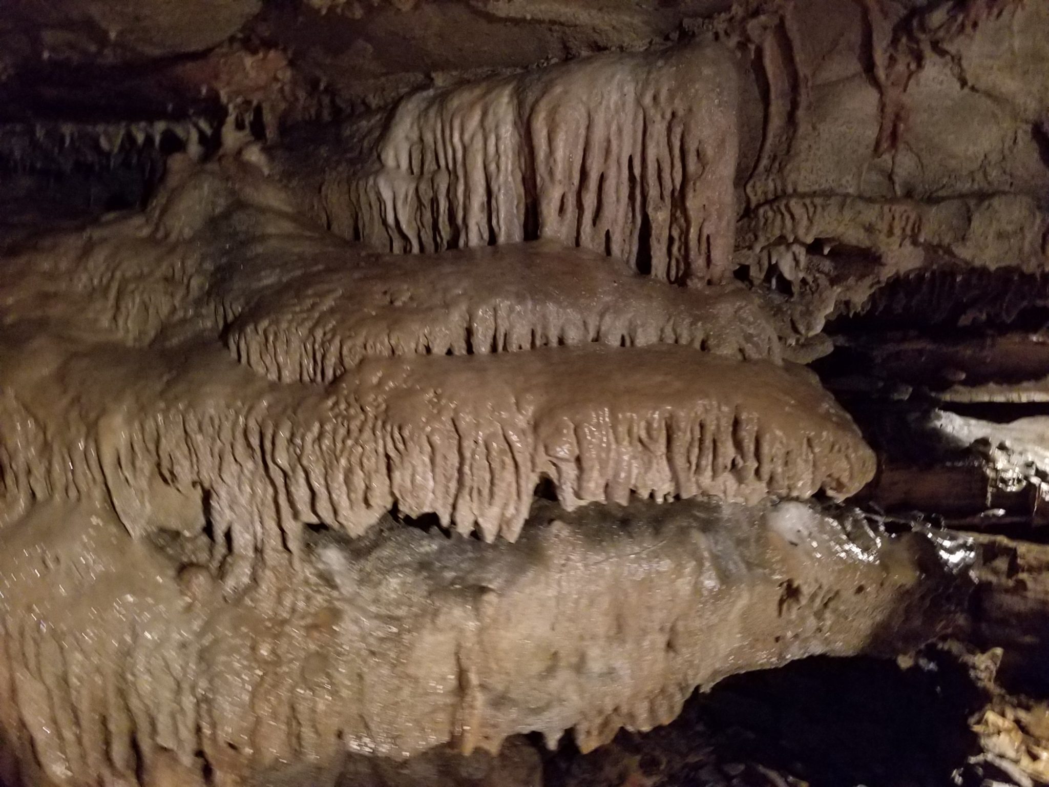 Exploring The Bell Witch Farm and Cave for Some Spooky Fun! – Momleficent